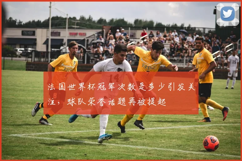 法国世界杯冠军次数是多少引发关注，球队荣誉话题再被提起