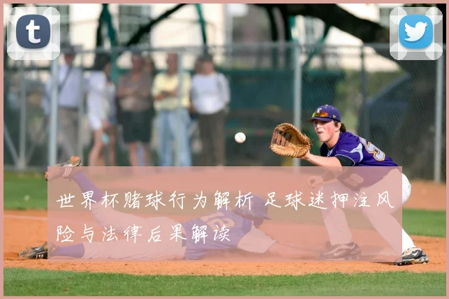 世界杯赌球行为解析 足球迷押注风险与法律后果解读